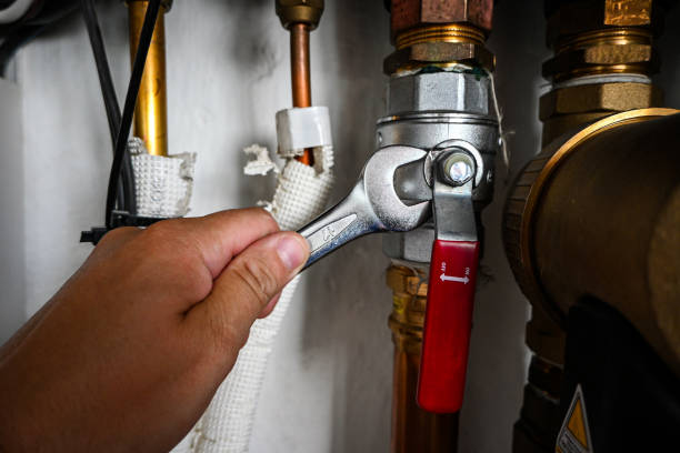 Best Sprinkler Systems  in Skagway, AK